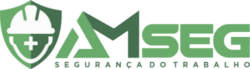 AMSEG